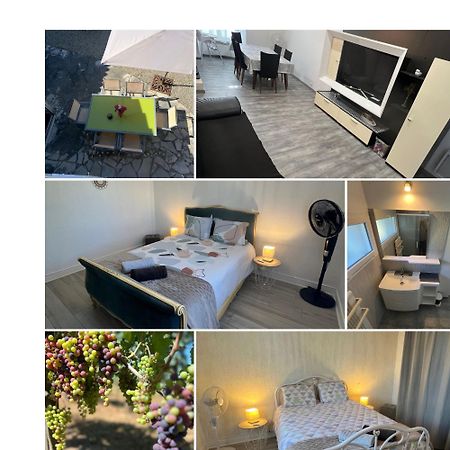 Gite Le Clos Saint-Sulpice-de-Faleyrens ภายนอก รูปภาพ