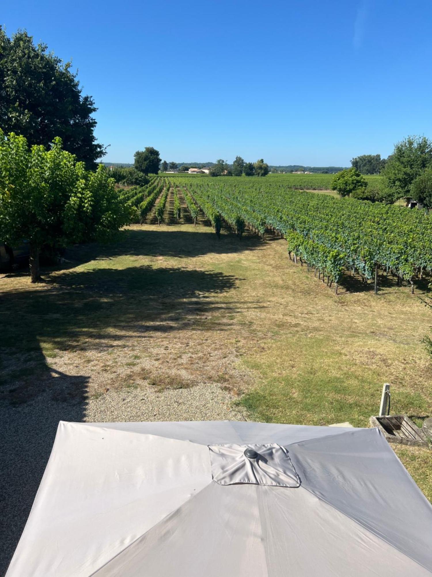 Gite Le Clos Saint-Sulpice-de-Faleyrens ภายนอก รูปภาพ